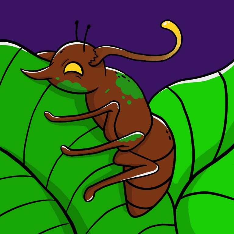 Untitled_Artwork (4)